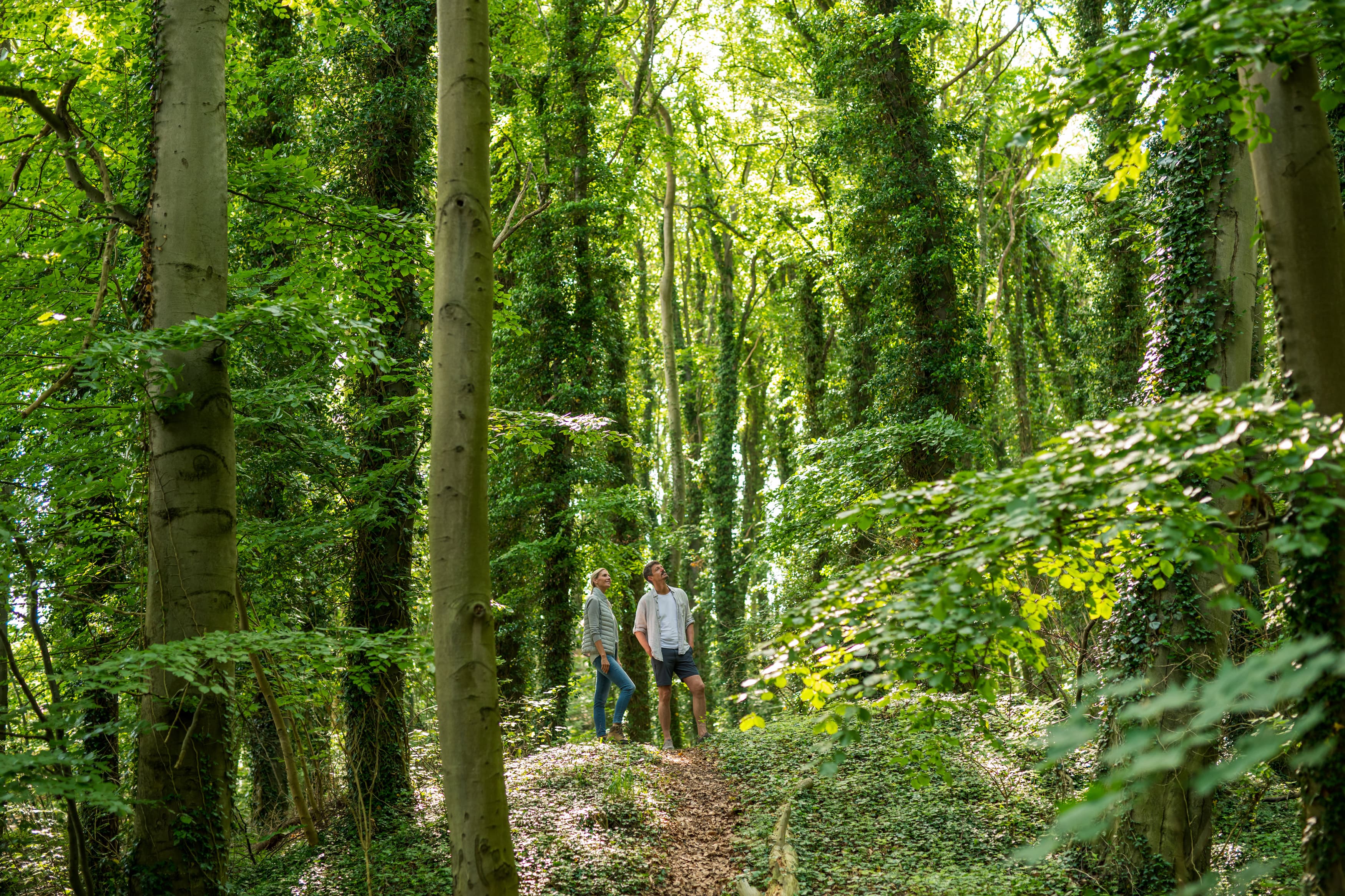 Pärchen steht in einem grünen Küstenwald.