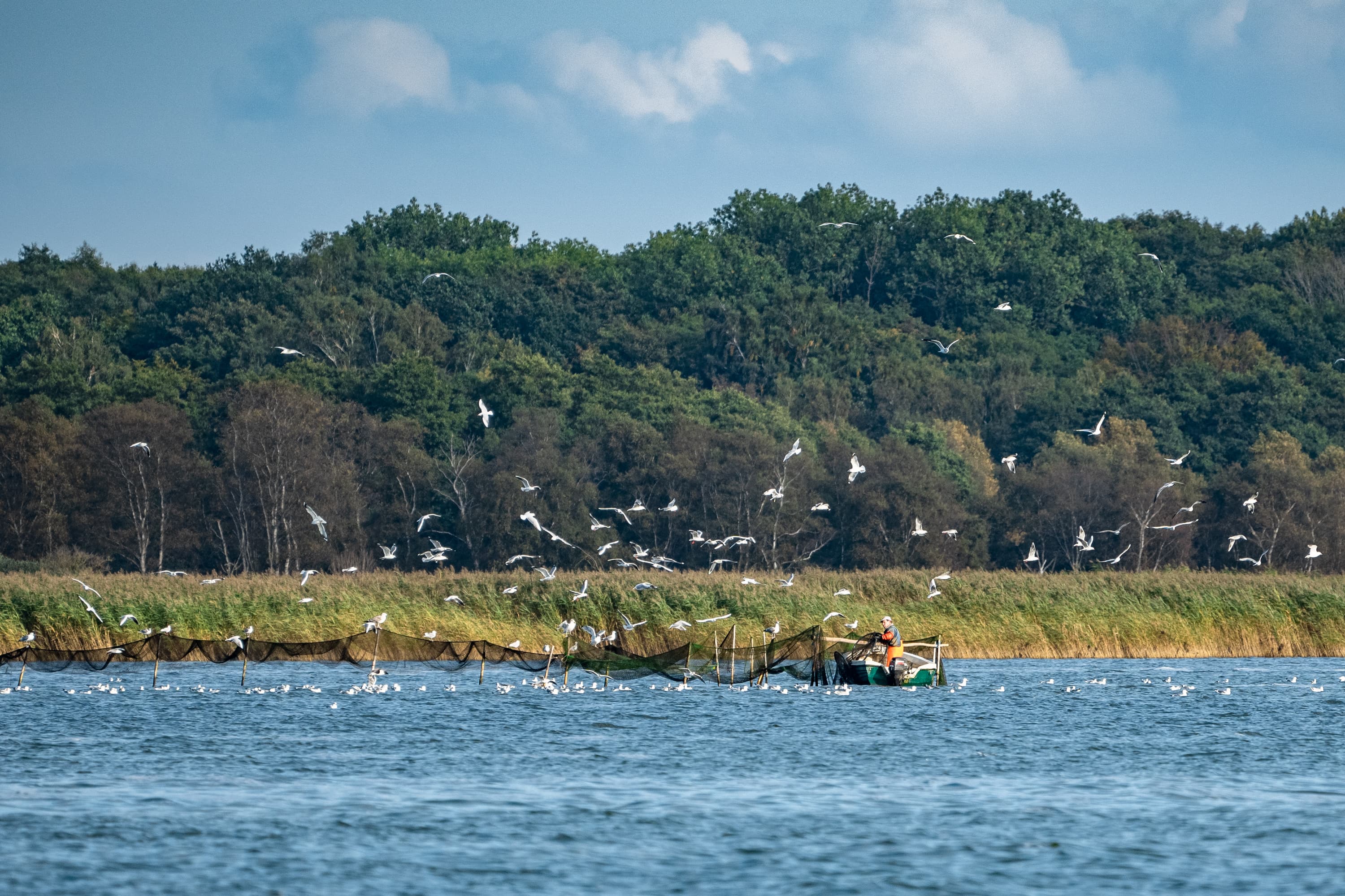 Fischernetze und Fischerboot