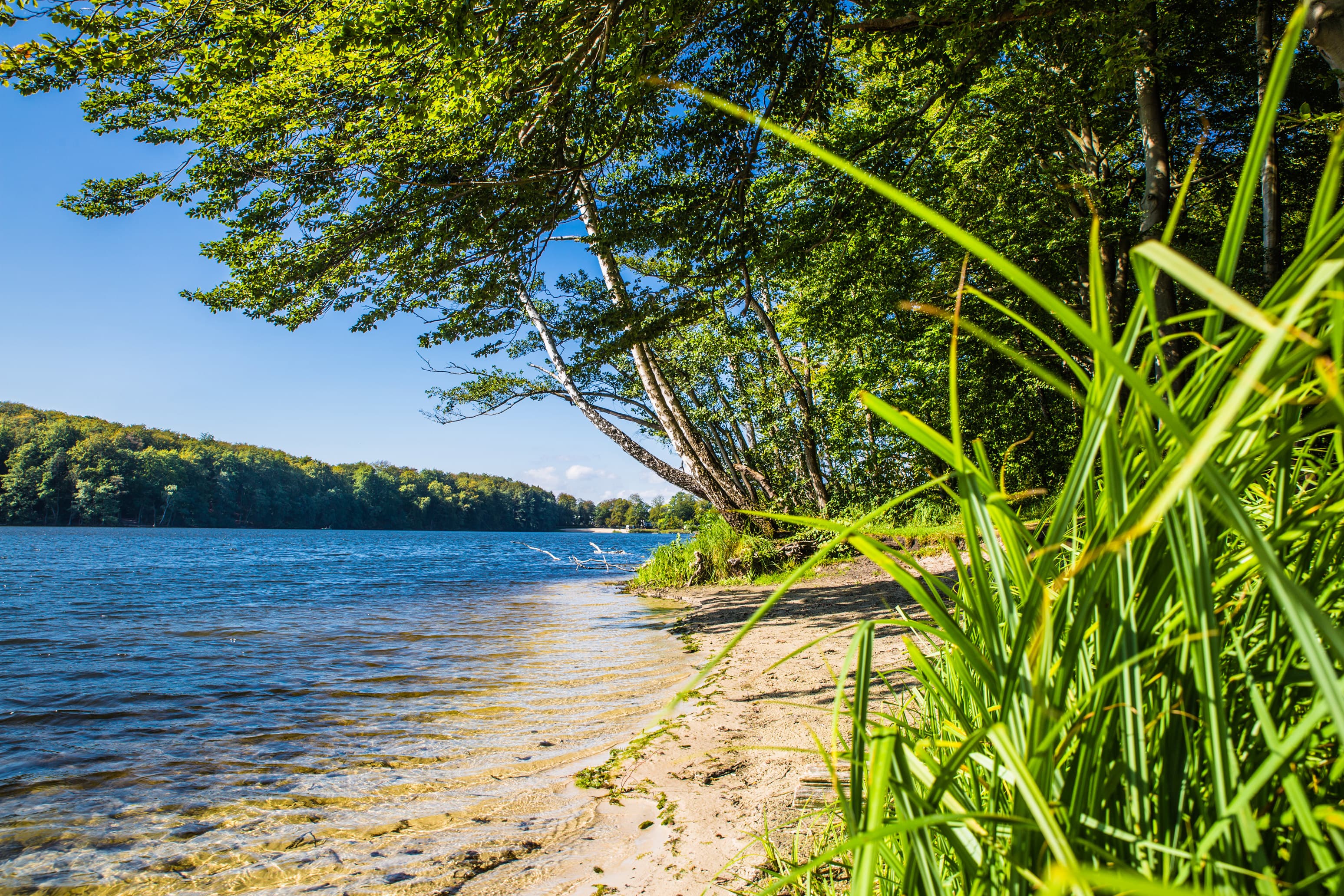 Badestelle am Wolgastsee