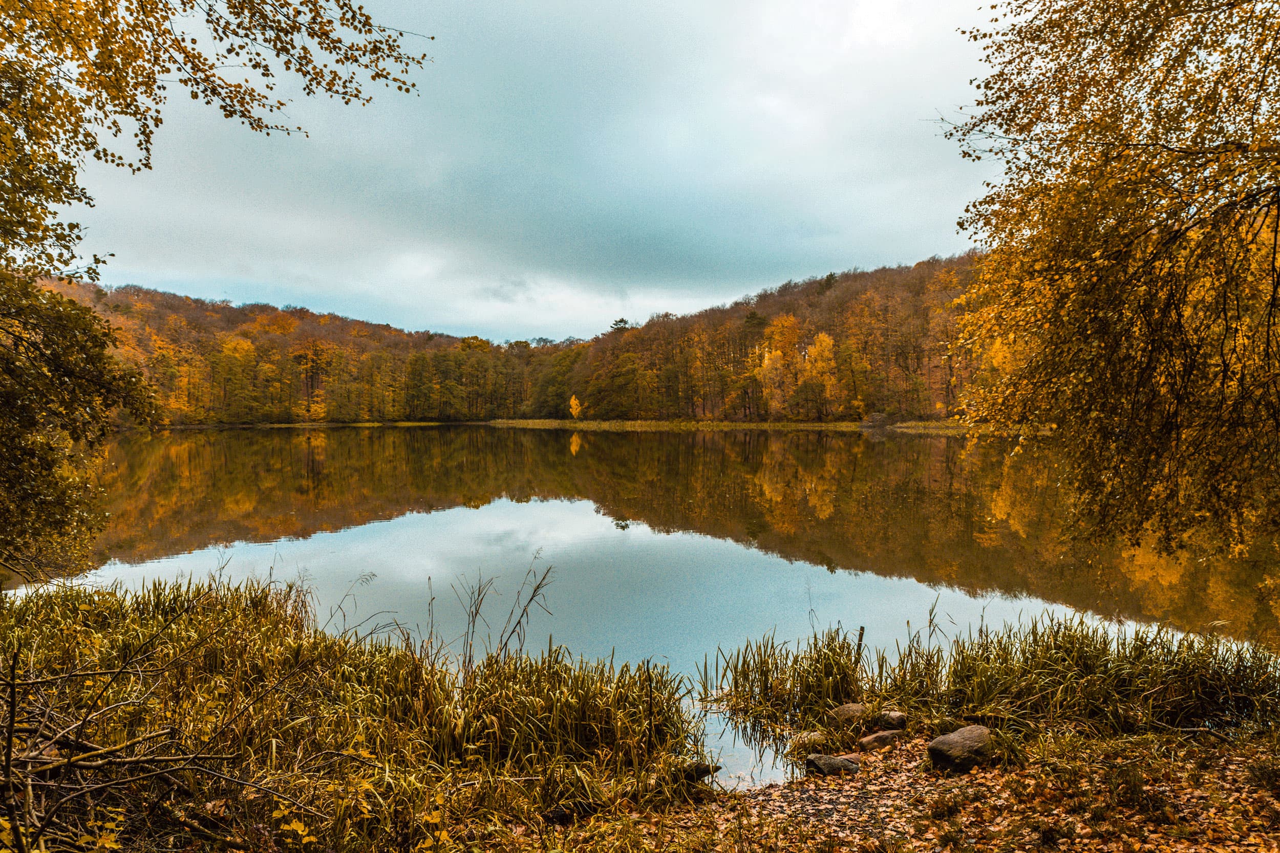 Das Bild zeigt den Krebssee bei Korswandt im Thurbruch.