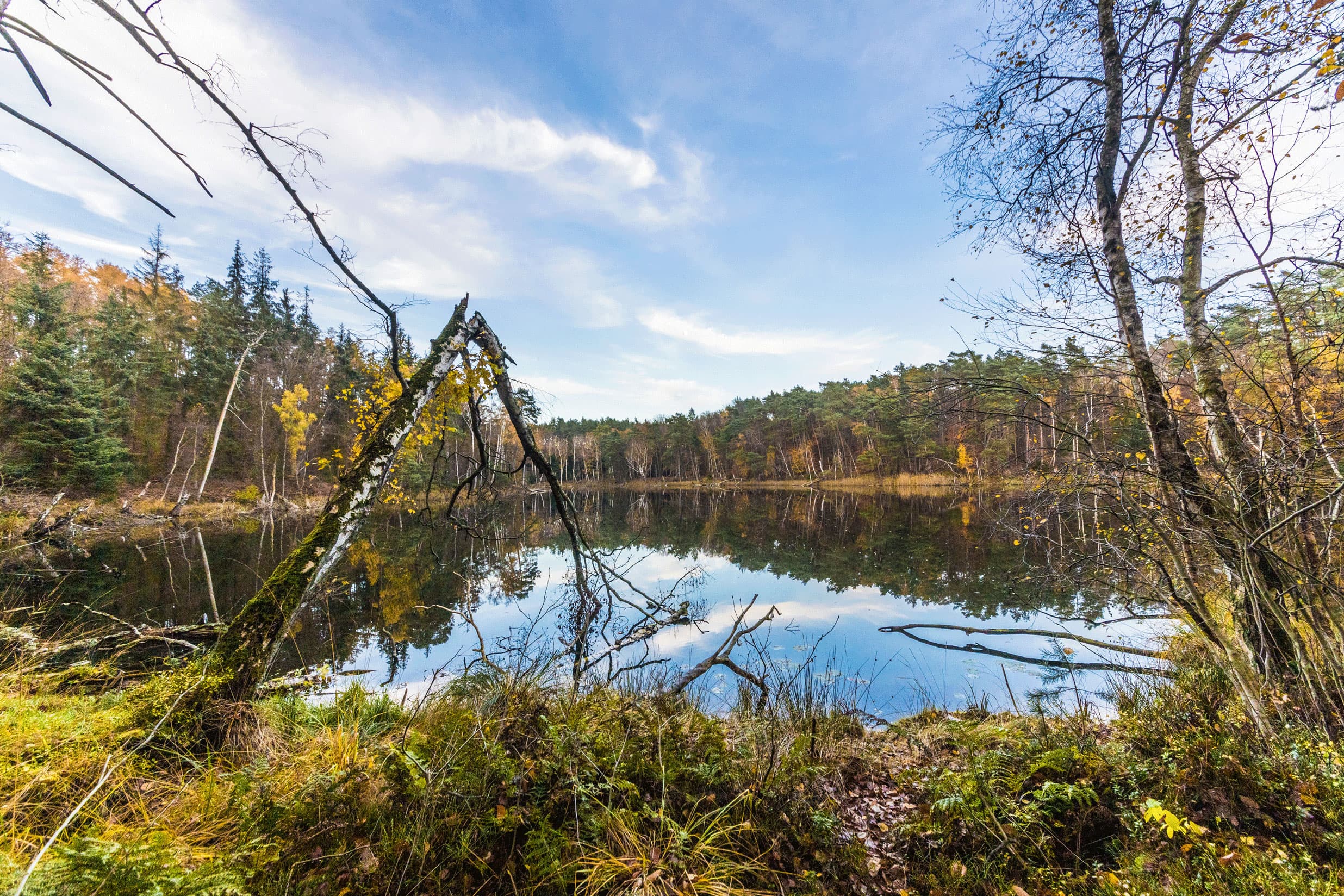 Das Bild zeigt den See "das schwarze Herz" bei Korswandt im Thurbruch.