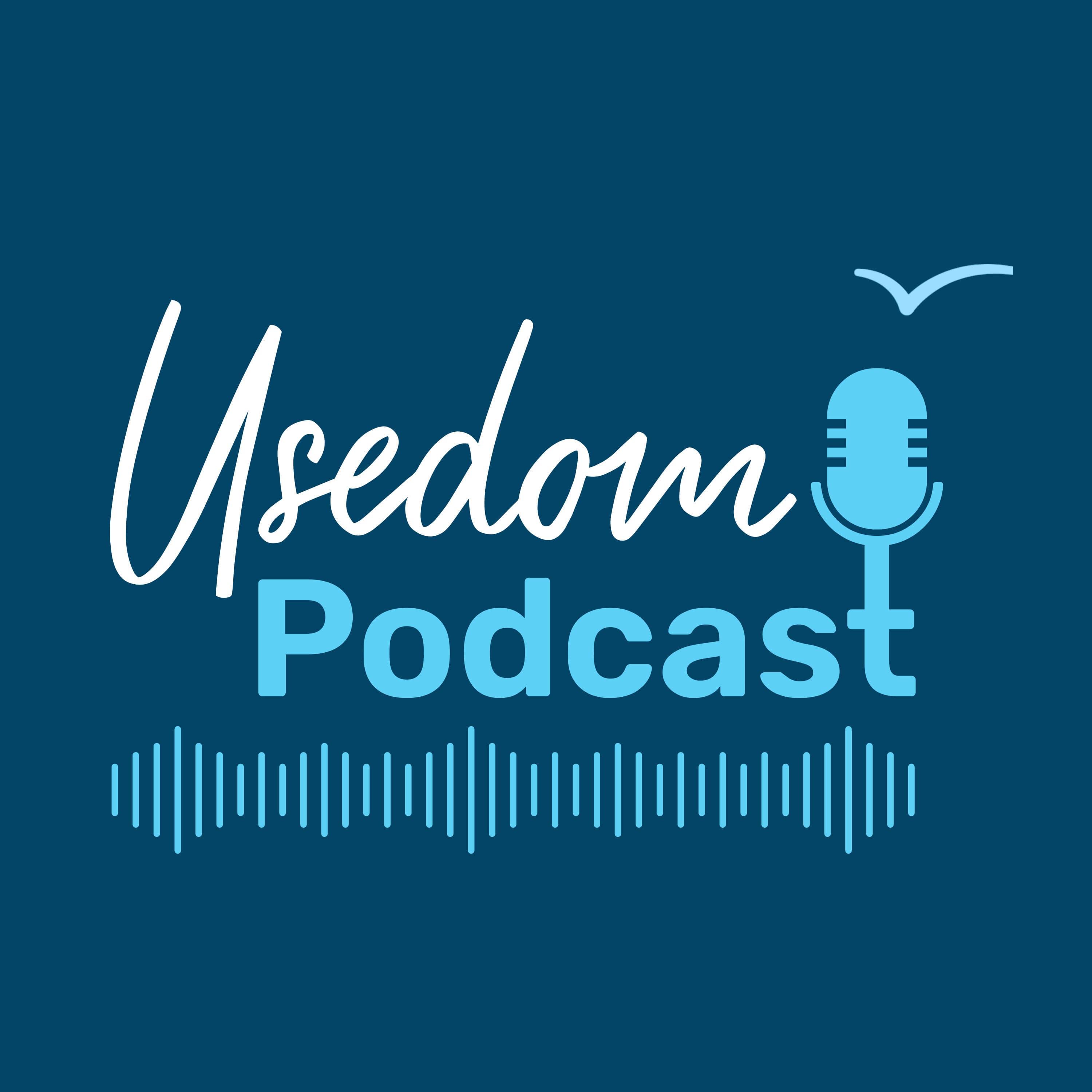 Titel des Usedom Podcasts mit einer Möwe oben rechts und einer Tonspur unterhalb des Schriftzugs
