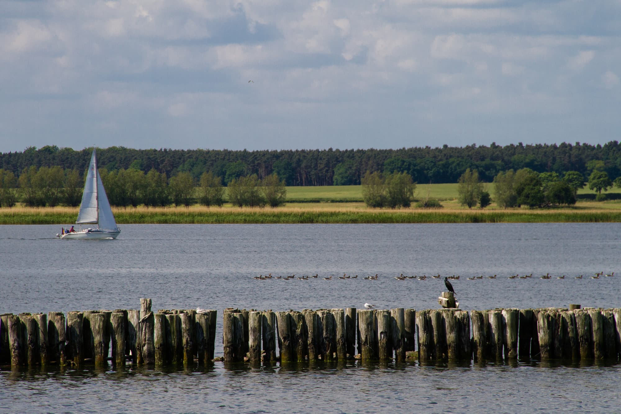 Das Bild zeigt einen Blick auf den Peenestrom vom Hafen in Peenemünde aus.