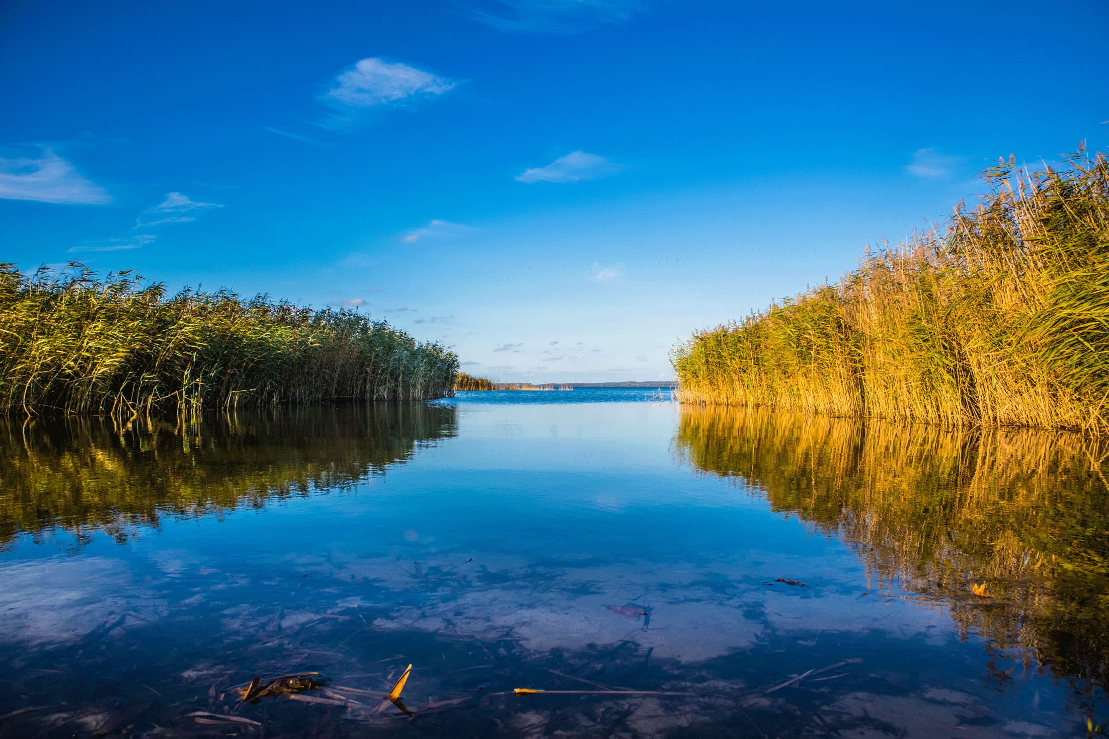 Das Bild zeigt den Blick auf den Balmer See vom Ufer aus.